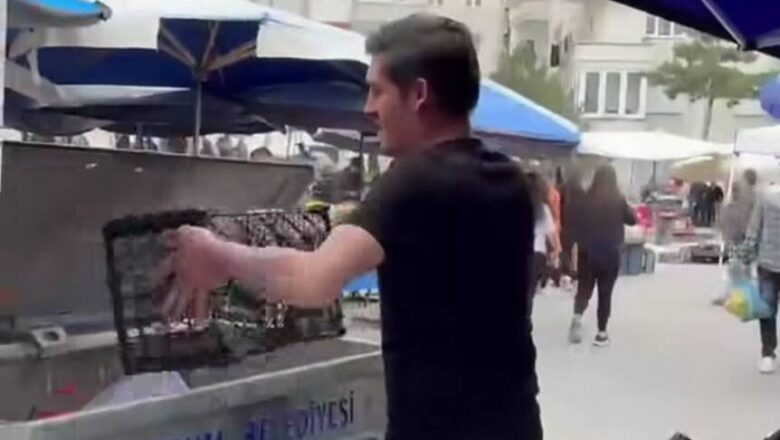  Domatesleri Çöpe Döken Pazarcılara Büyük Ceza!