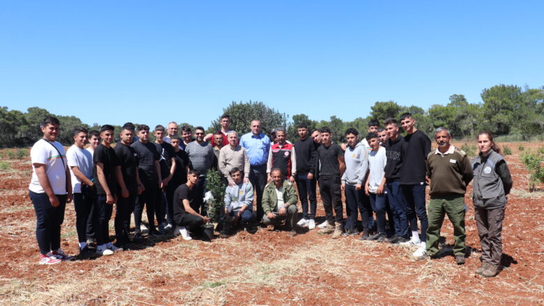  Çeşme Sakız Ağacı Projesi KKTC’de Büyüyor!