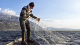 Bakan Yumaklı: “Palamutta Son Yılların En Verimli Sezonunu Geride Bıraktık”