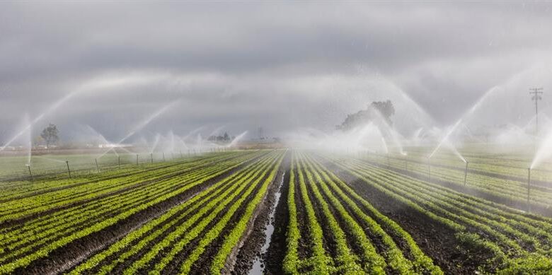  Türkiye’de Sulama Otomasyonu Genişliyor: 2025’te 110 Bin Dekarlık Alan Kapsama Alınacak!