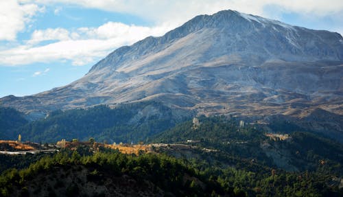  Valilik Açıkladı: Ormanlara Giriş 1 Mayıs’tan İtibaren Yasak!