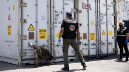 İstanbul Havalimanı’nda Rekor Uyuşturucu Operasyonu: Tam 455 Kilo!