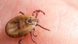 Sivas Valisi Yılmaz Şimşek: “2025’te 39 KKKA Vakası Görüldü, 7 Kişi Hayatını Kaybetti”