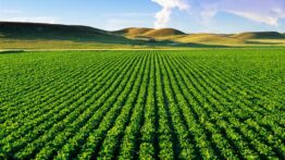 Çiftçilere Bakanlıktan Müjde! – Tek Haber Ajansı (TEKHA) Türkiye’nin Habercisi