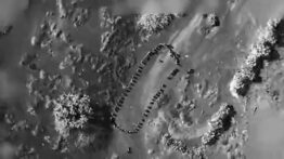 ABD Husi’ler Adı Altında Yemenli Halkı Bombaladı, Trump Sosyal Medyada Paylaştı