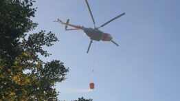 Bursa-Yalova Sınırında Orman Yangını Kontrol Altına Alındı