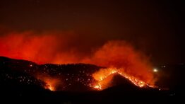 Kahramanmaraş Onikişubat’ta Çamlıbel ve Çakırdere Mevkiinde Orman Yangını