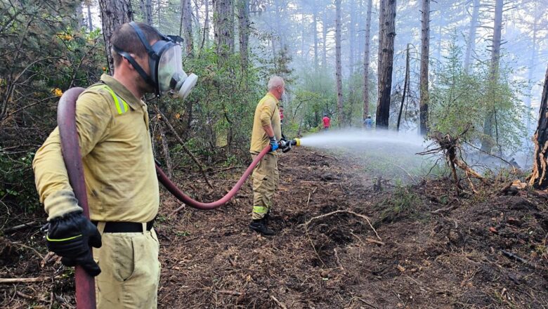  Bolu’daki Orman Yangını Kısmen Kontrol Altına Alındı, 20 Hektarlık Alan Etkilendi