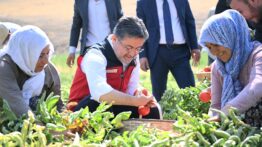 Tarım ve Orman Bakanı Yumaklı, Ayaş’ta Domates Hasadına Katıldı