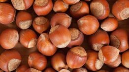 Fındık İhracatından 7 Ayda 1,3 Milyar Dolar Gelir Sağlandı