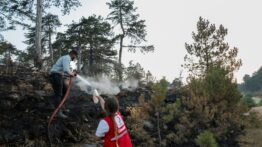 Kızılay Gönüllüleri Orman Yangınlarında Ön Saflarda: “Yangın Bitene Dek Hep Beraber Buradayız”