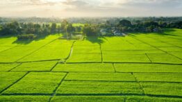 TOKİ 30 İl Genelinde 312 Arsa Satacak: En Uygun Fiyat 307 Bin Lira