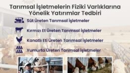 TKDK Dokuzuncu Başvuru Çağrısını Yayınladı
