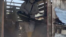 Kahverengi Kokarcaya Karşı 1 Milyondan Fazla Hanede İlaçlama Yapıldı