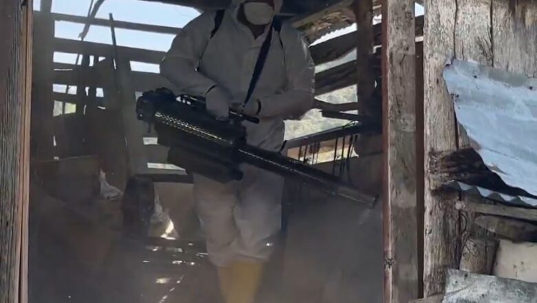  Kahverengi Kokarcaya Karşı 1 Milyondan Fazla Hanede İlaçlama Yapıldı