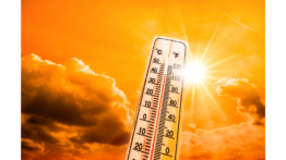 Tüm Türkiye’de Güneş Açıyor – Tek Haber Ajansı (TEKHA) Türkiye’nin Habercisi