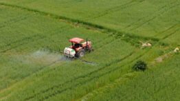 Çiftçilere 320,6 Milyon Lira Tarımsal Destek Ödemesi Yapılacak