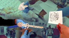 41 İlde Nitelikli Dolandırıcılık Operasyonu: 271 Şüpheli Yakalandı