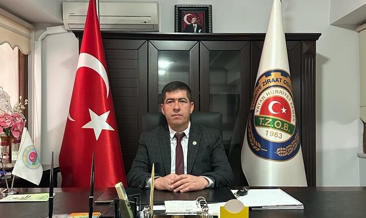  Ezine Peynirinde Büyük Tehlike: Süt Üretimindeki Düşüş Sahteciliği Artırdı