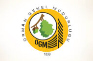 Orman Genel Müdürlüğü 12 Müfettiş Yardımcısı Alacak