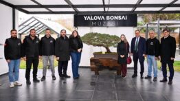 Yalova’da Avrupa’nın En Büyük Bonsai Müzesi