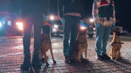 İstanbul Merkezli Suç Örgütlerine Dev Operasyon: 17 Gözaltı