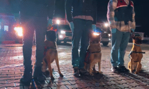 İstanbul Merkezli 3 İlde Yasadışı Bahis Operasyonu: 11 Gözaltı