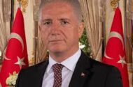 İstanbul Valisi Davut Gül: “Sahipsiz Hayvanların Tamamı Toplanacak”
