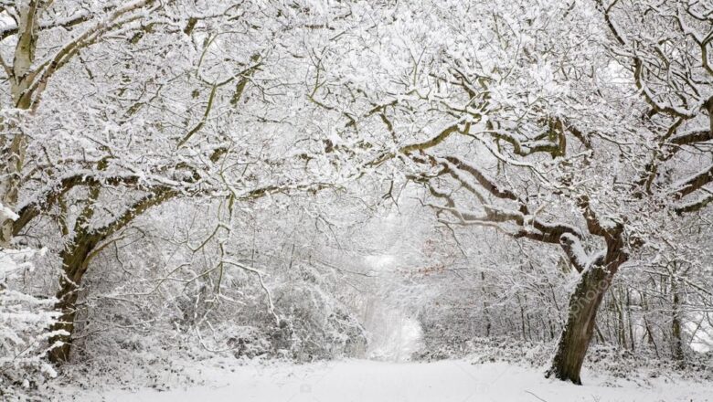  Doğu Anadolu Bölgesi’nde Kar ve Soğuk Yaşamı Olumsuz Etkiliyor