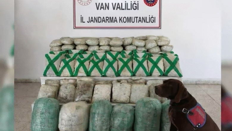  Van ve Hakkari’de Uyuşturucu Operasyonu: 320 Kilogram Uyuşturucu Ele Geçirildi