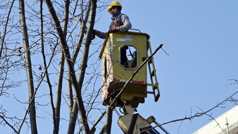  Yalova Belediyesi Gazipaşa Caddesi’nde Budama Çalışması Başlattı