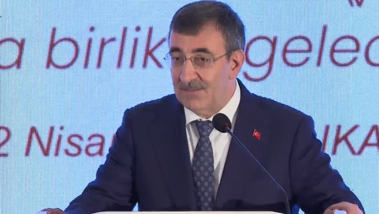  Cumhurbaşkanı Yardımcısı Yılmaz: Türkiye Hızla Yaşlanan Bir Nüfus Yapısına Sahip