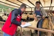 Tarım ve Orman Bakanlığı’ndan Kurban Bayramı Öncesi 81 İlde Sıkı Denetim