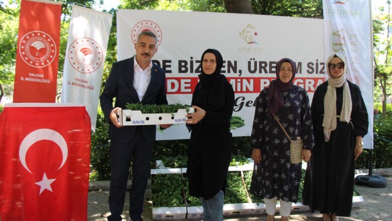  Armutlu’da Üreticilere Sebze Fidesi Desteği