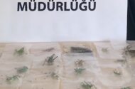 Adıyaman’da Çekirge Toplayan 3 Yabancı Uyruklu Şahsa 2 Milyon 97 Bin Lira Ceza