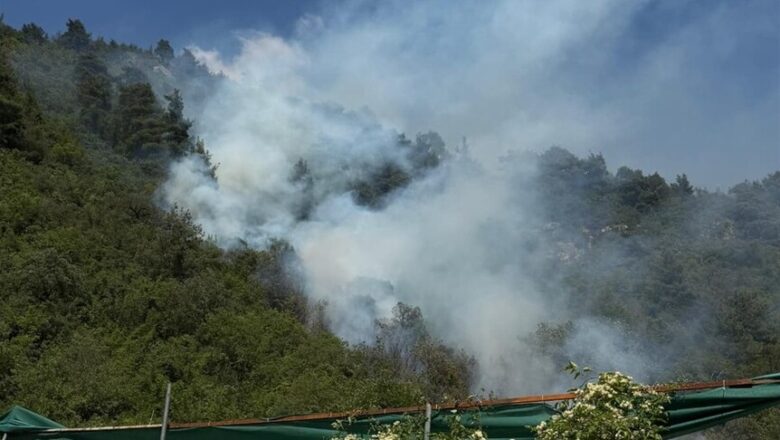  Bursa ve İzmir’de Çıkan Orman Yangınlarına Müdahale Ediliyor