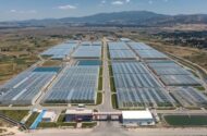 Simav Jeotermal Isıtmalı Sera Organize Tarım Bölgesi Üretime Başlıyor