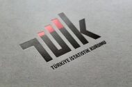TÜİK 2025 Yılı Sanayi Ve Hizmet İstatistiklerini Açıkladı