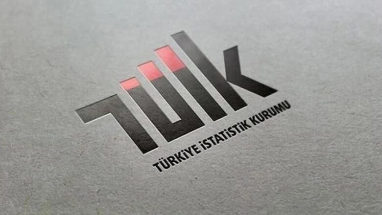 TÜİK 2025 Yılı Sanayi Ve Hizmet İstatistiklerini Açıkladı