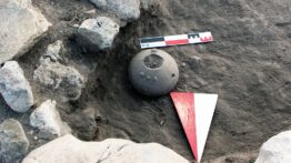 Külhöyük Kazılarında 4 Bin Yıllık Sevgi Çiçeği Tohumu Bulundu