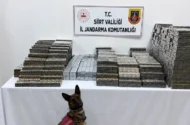 Siirt’te Kömür Çuvallarına Gizlenmiş 10 Bin 250 Paket Kaçak Sigara Ele Geçirildi