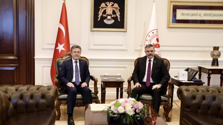 İki Bakanlıktan Sokak Hayvanları İçin Ortak Zirve