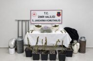 Karabağlar’da İklimlendirmeli Kenevir Operasyonu: 5 Kilo Skunk Ele Geçirildi