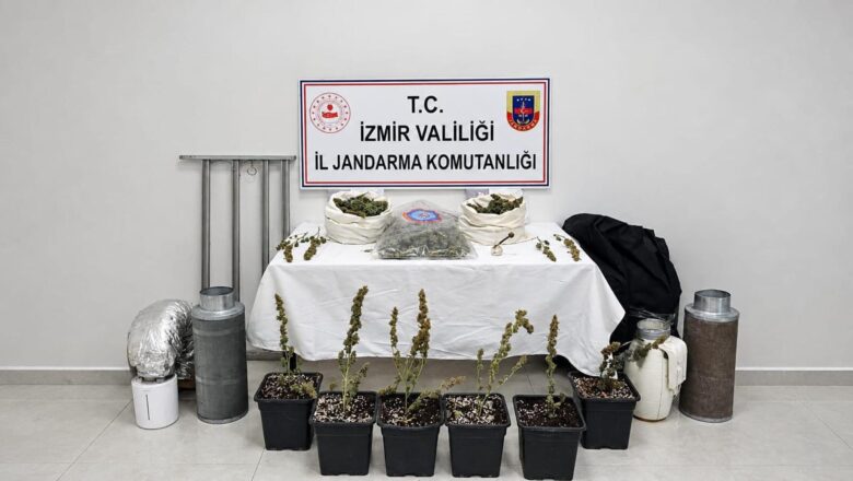 Karabağlar’da İklimlendirmeli Kenevir Operasyonu: 5 Kilo Skunk Ele Geçirildi